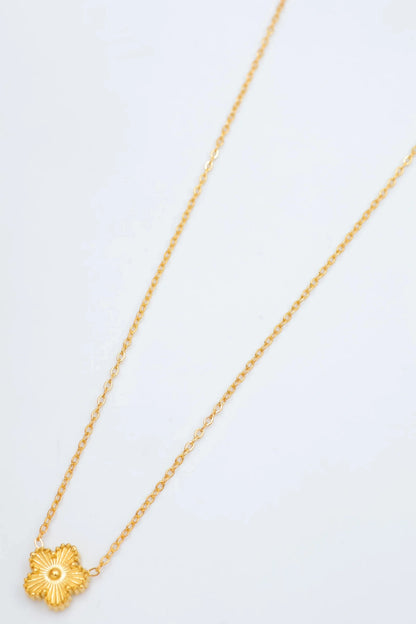 Colliers en acier inoxydable