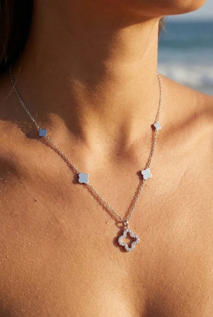 Colliers en acier inoxydable