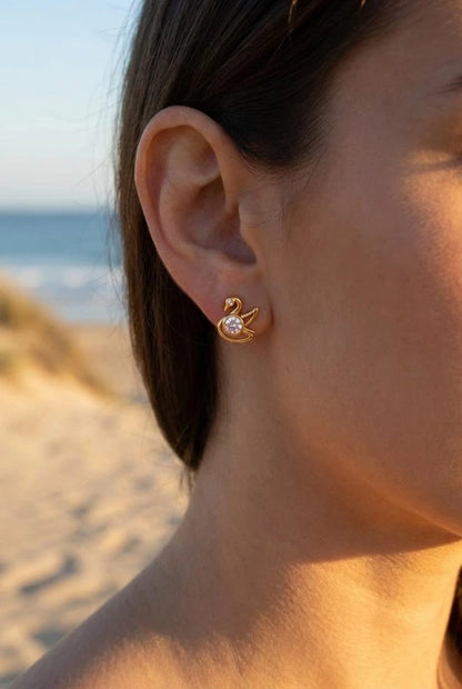 Boucles d’oreilles en acier inoxydable