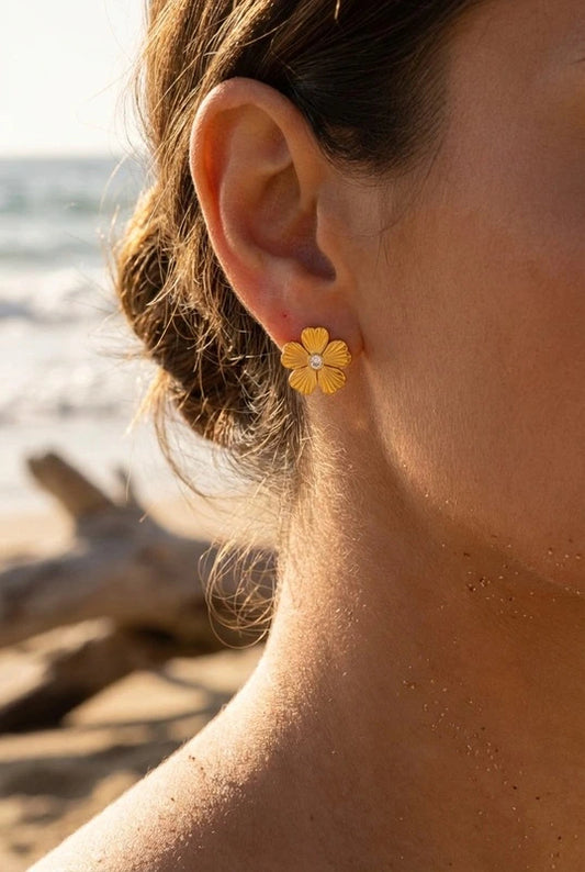 Boucles d’oreilles en acier inoxydable