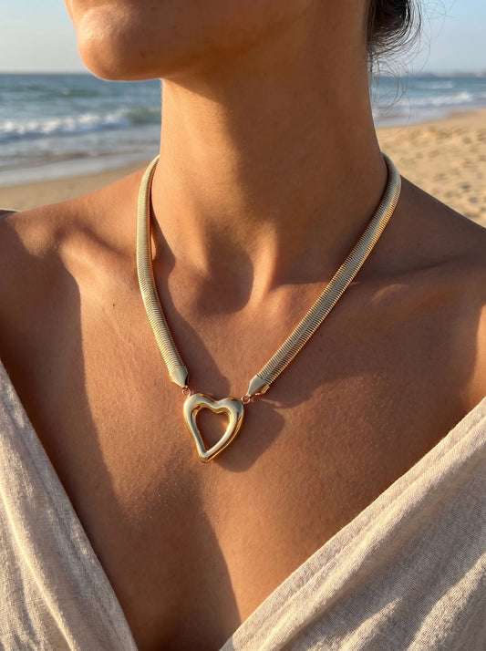 Colliers en acier inoxydable