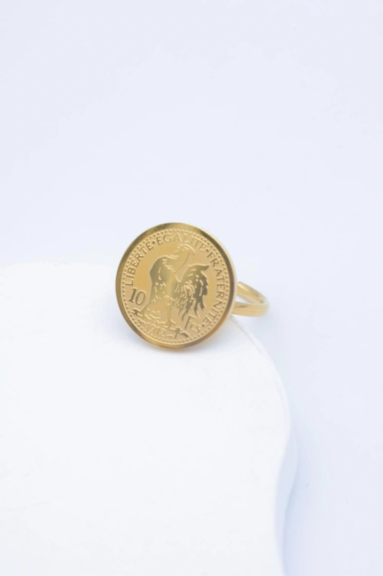 Bague en acier inoxydable ajustable - DORÉ