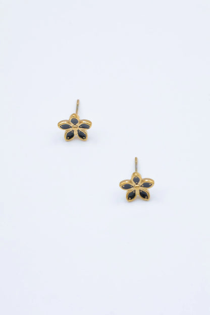 Boucles d’oreilles en acier inoxydable