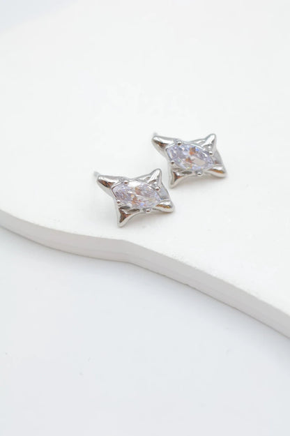 Boucles d’oreilles en acier inoxydable