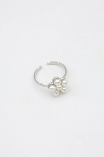 Bagues en acier inoxydable