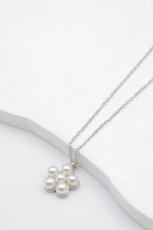 Colliers en acier inoxydable