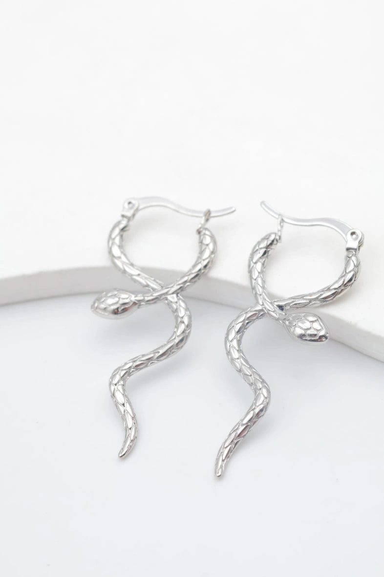 Boucles d'oreilles en acier inoxydable - ARGENT