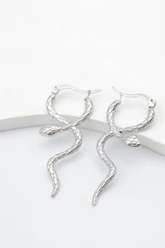 Boucles d’oreilles en acier inoxydable
