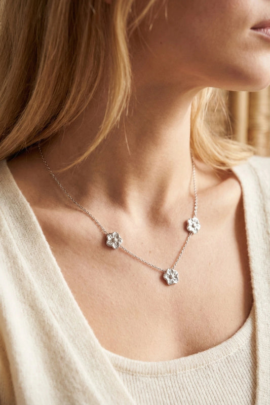 Colliers en acier inoxydable