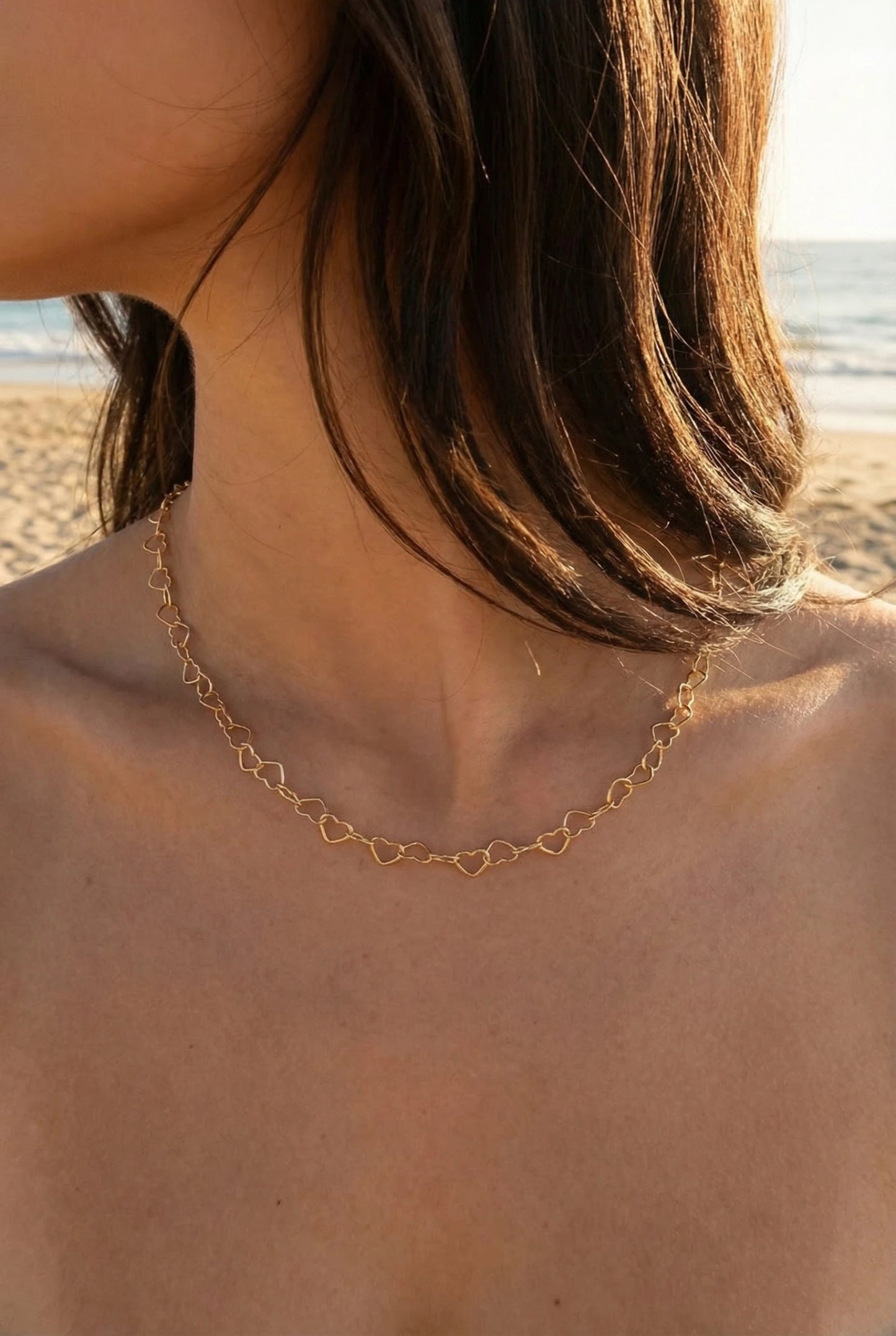 Colliers en acier inoxydable