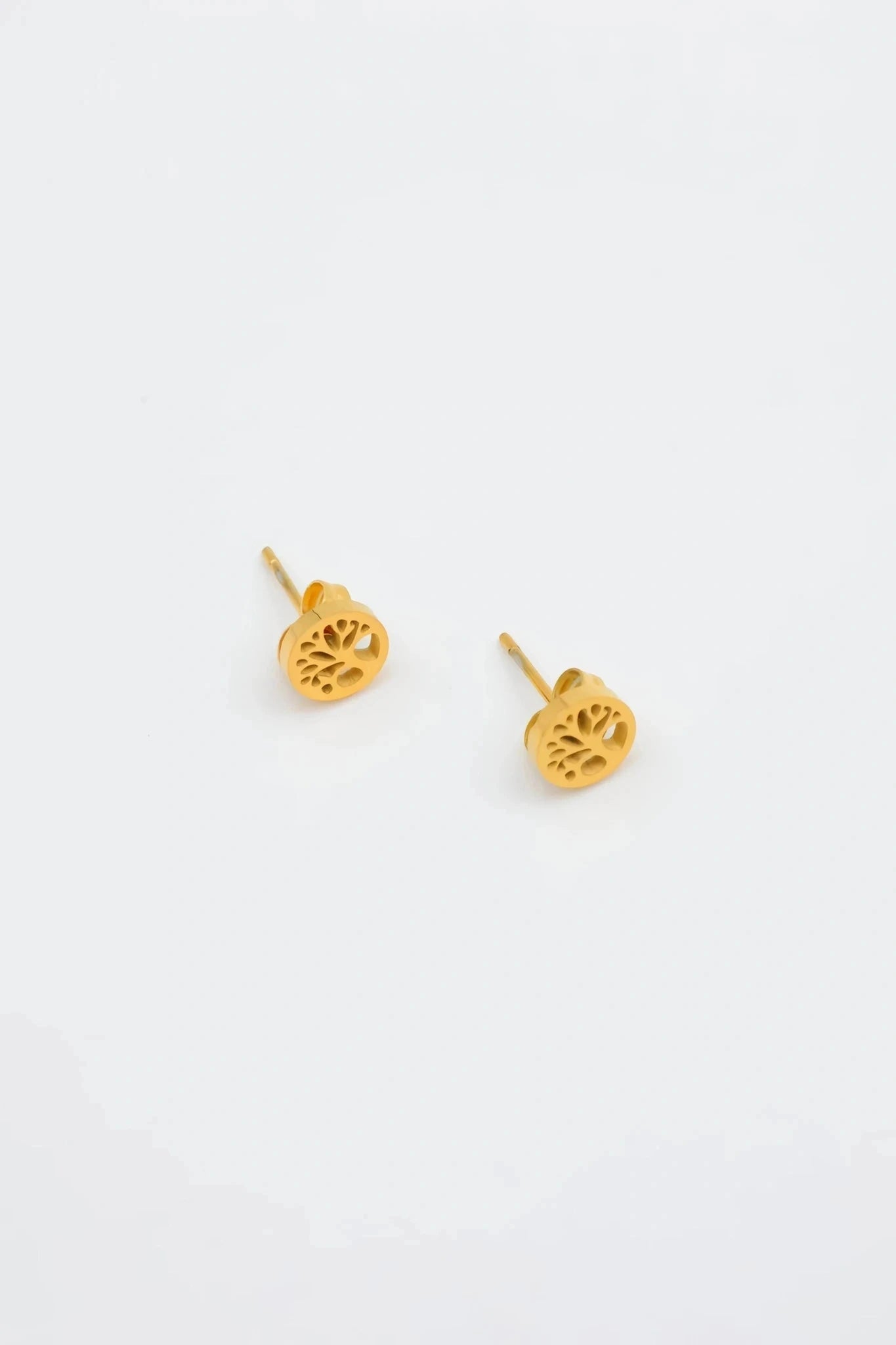 Boucles d’oreilles en acier inoxydable