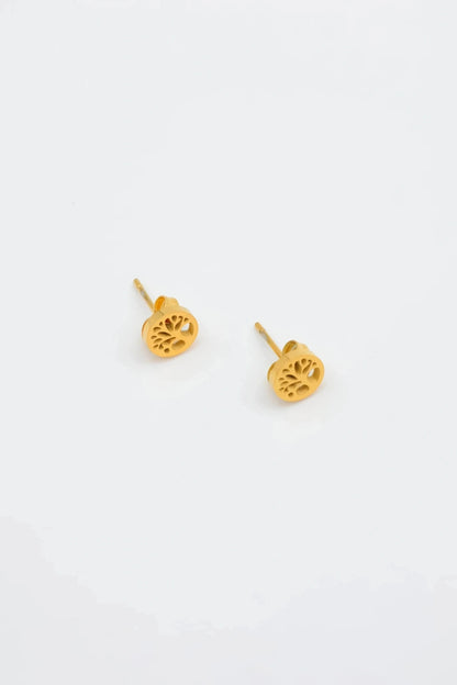 Boucles d’oreilles en acier inoxydable
