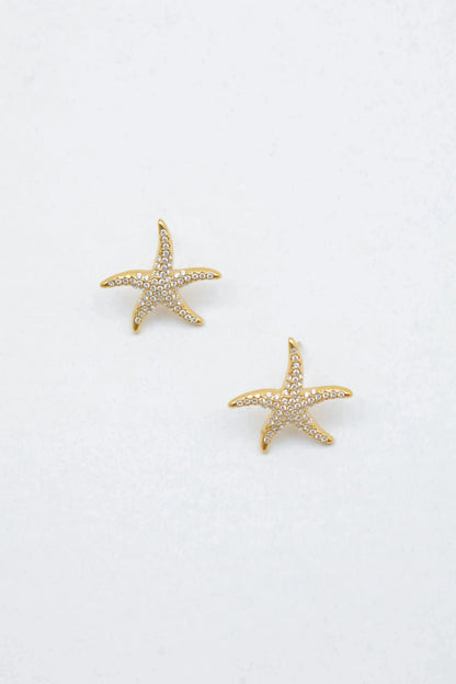 Boucles d’oreilles en acier inoxydable